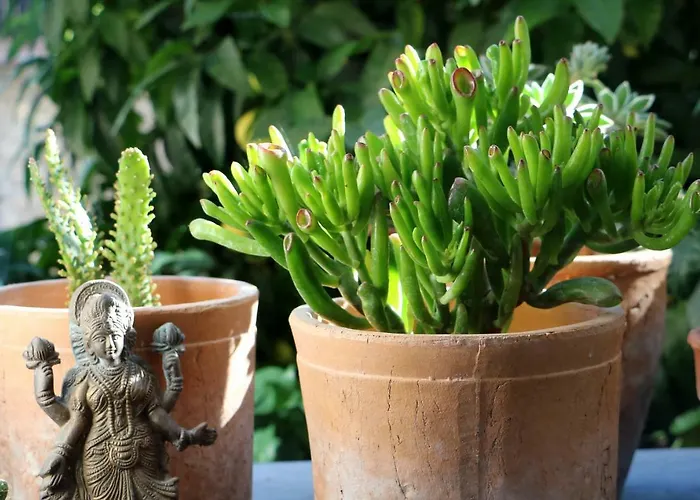 Talking Stones B&B 돌체아쿠아