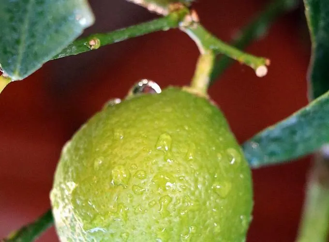 Talking Stones Bed & Breakfast Dolceacqua